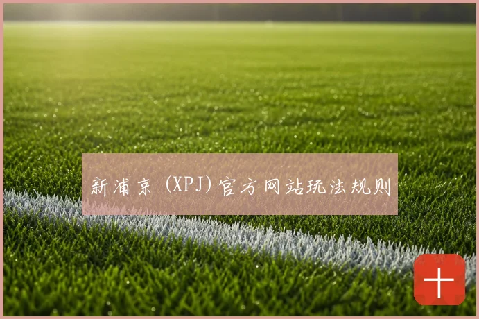 新浦京 (XPJ)官方网站玩法规则
